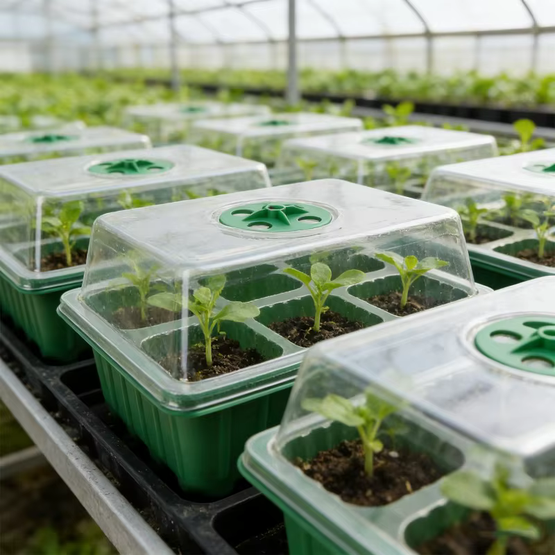 Pot à semis à 6 trous avec couvercle