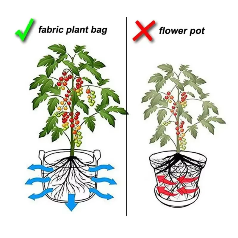 Lot de 5 sacs de culture en feutre pour plantes