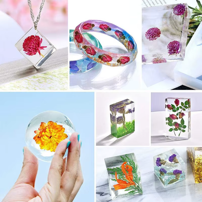 Fleurs d'amarante globe séchées naturelles de qualité supérieure pour la décoration de la maison et du jardin
