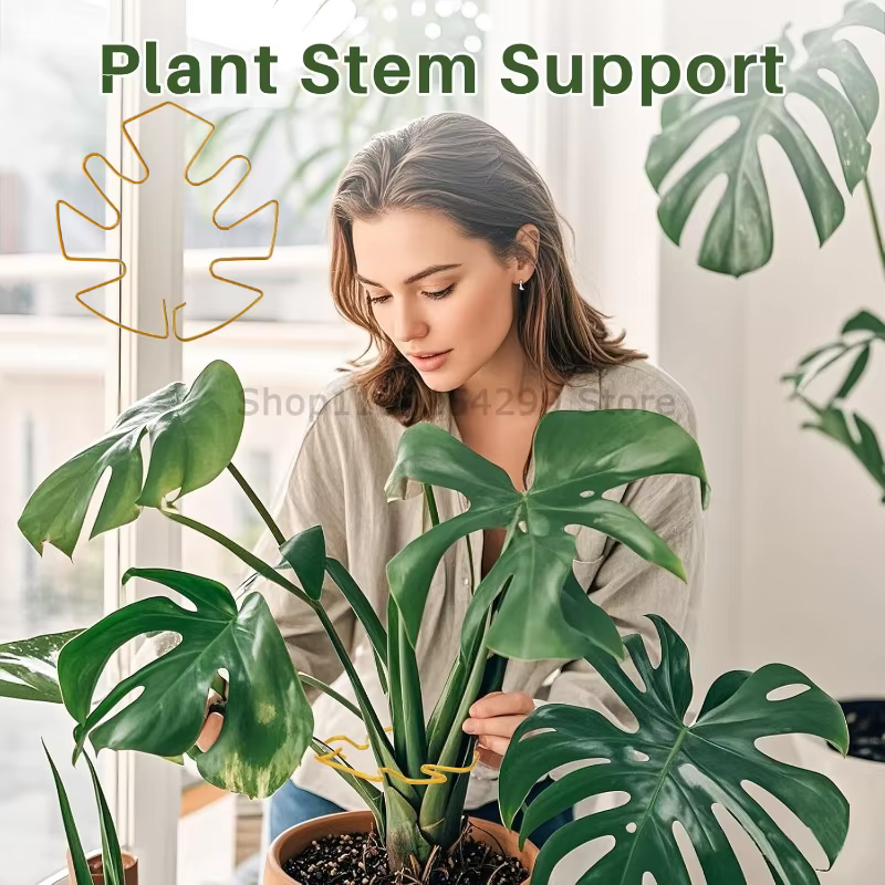 Support robuste pour grande plante Monstera