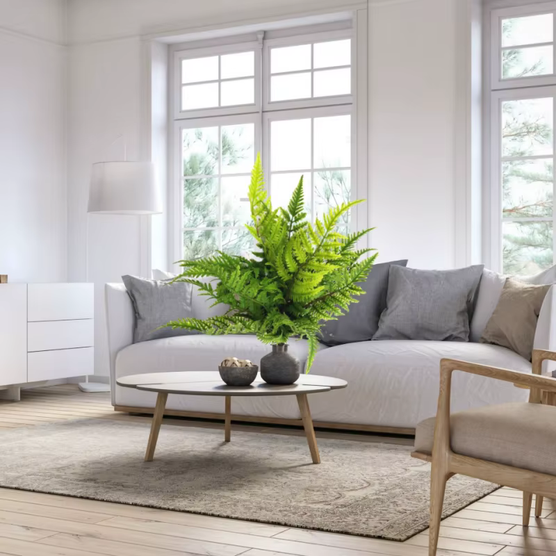 Plantes artificielles pour chambre à coucher