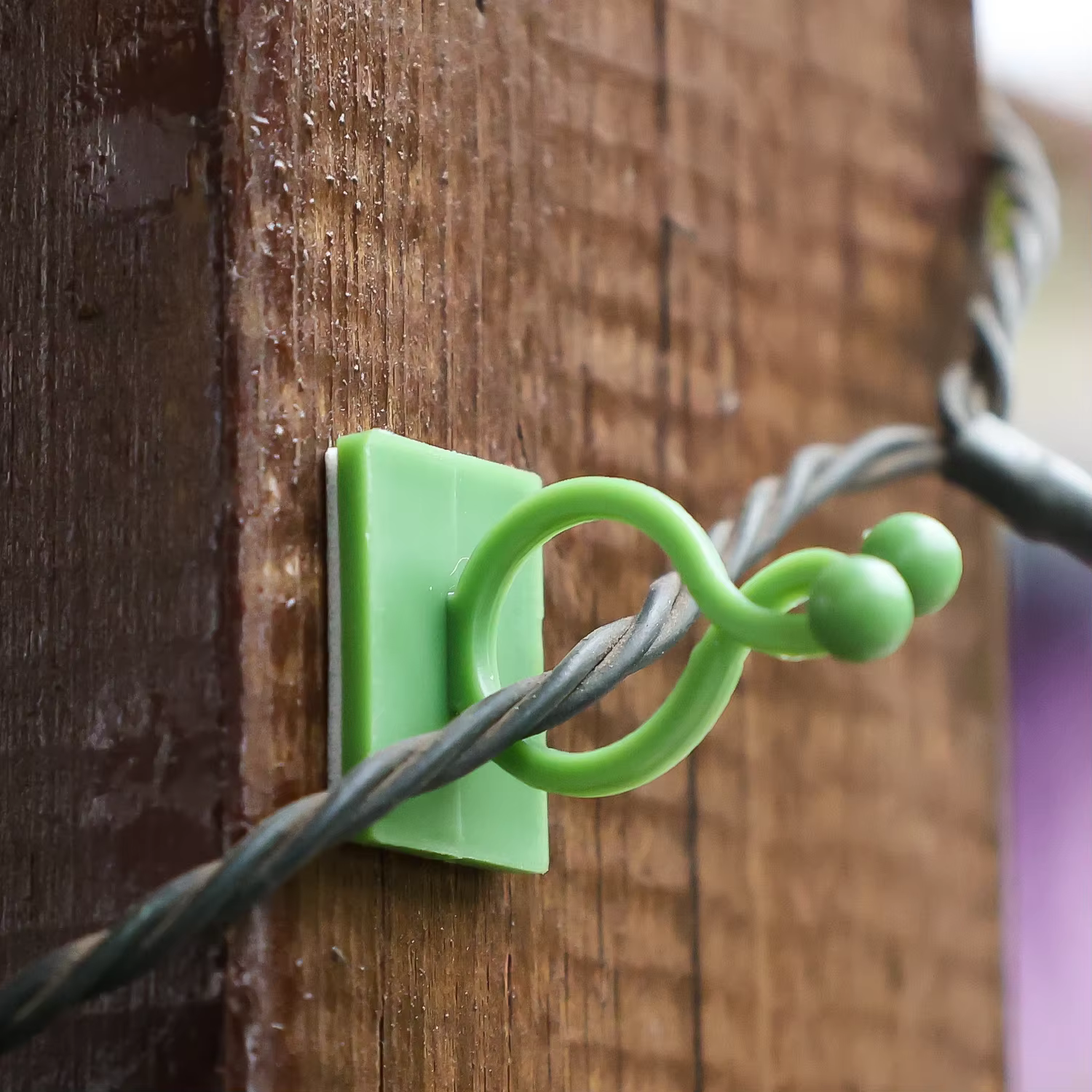 Clips de Support de Plantes pour Fleurs Grimpantes