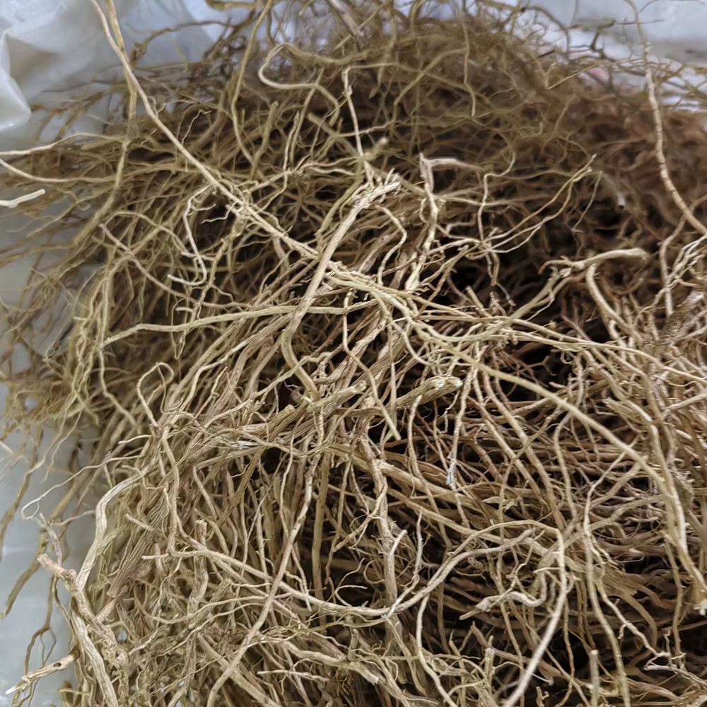 50g VETIVER – Lot de racines parfumées naturelles