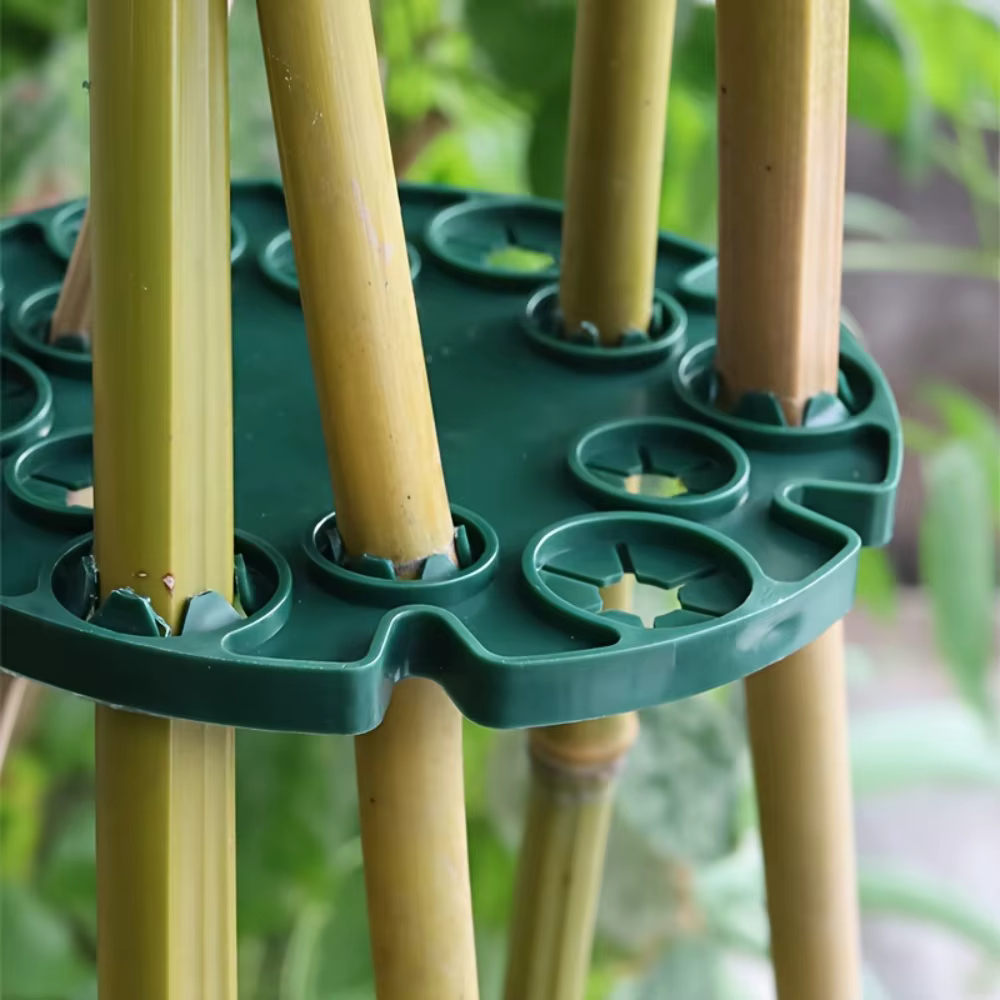 5 disques de fixation pour plantes grimpantes de jardin
