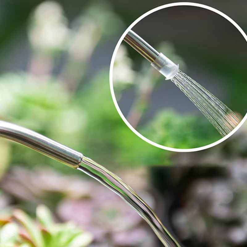 Arrosoir à long bec grande capacité pour jardinage domestique