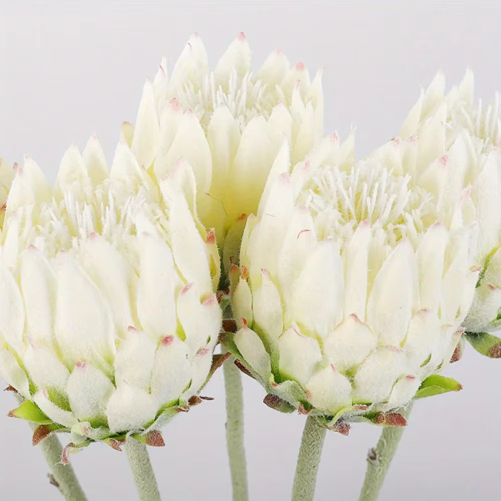 2 pièces de fleurs artificielles en chardon nordique