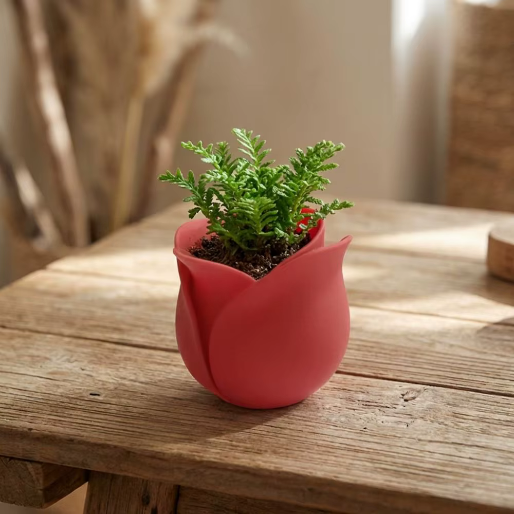 Ornement de bureau, mini pots en plastique en forme de rose