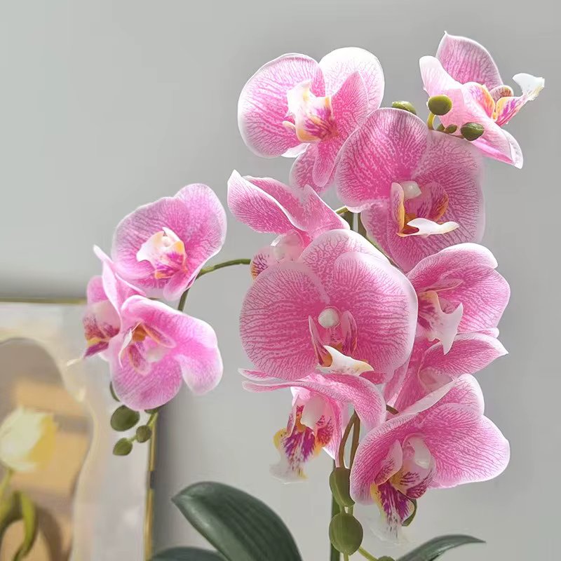 2 fourchettes 12 fleurs papillon orchidée bonsaï maison bureau