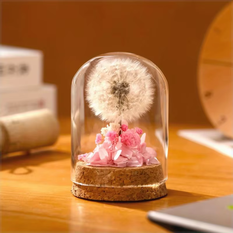Bouquet de pissenlit séché pour décoration de bureau
