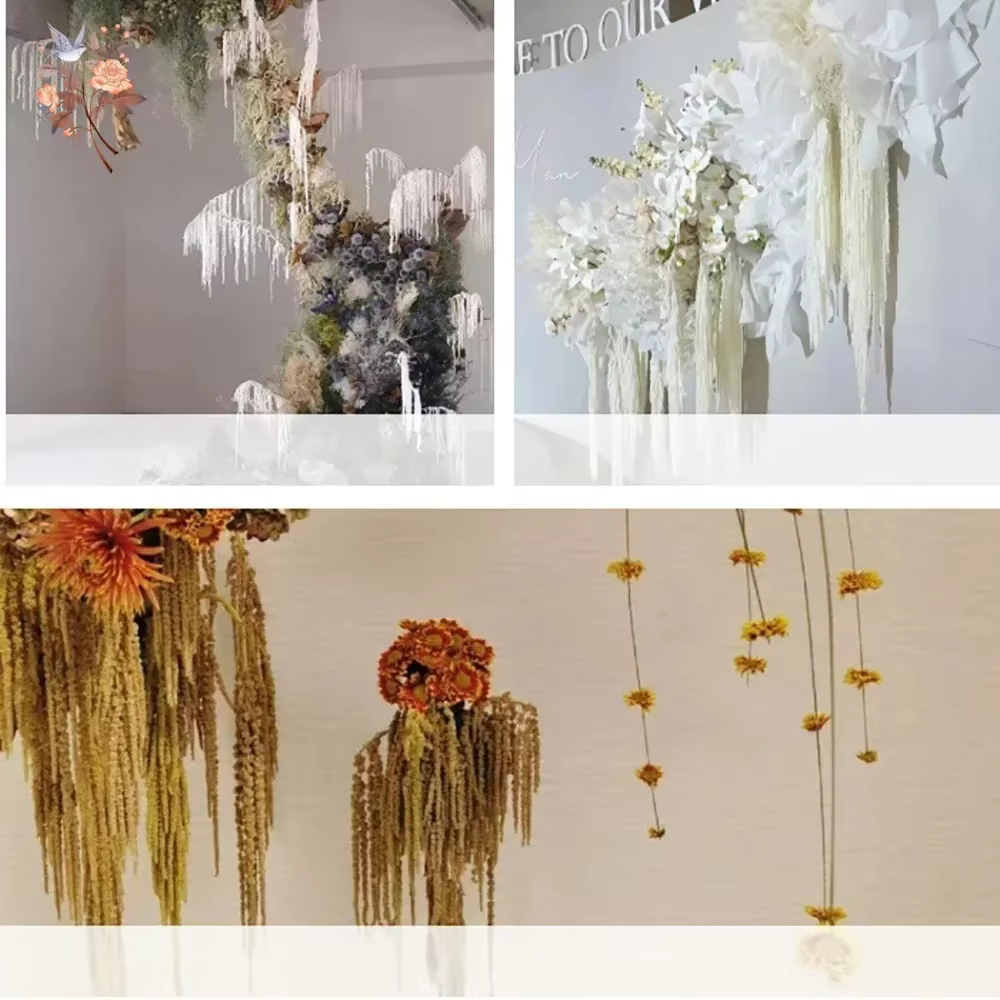 Amaranthus suspendu de fleurs séchées naturelles