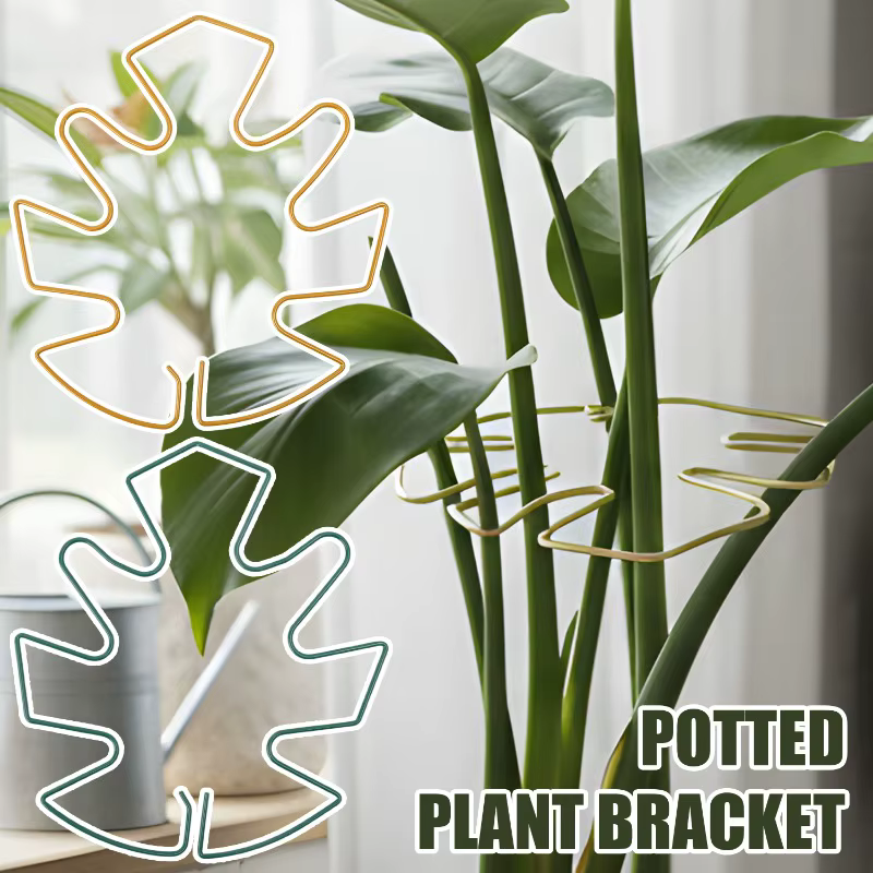 Monstera Support pour plantes