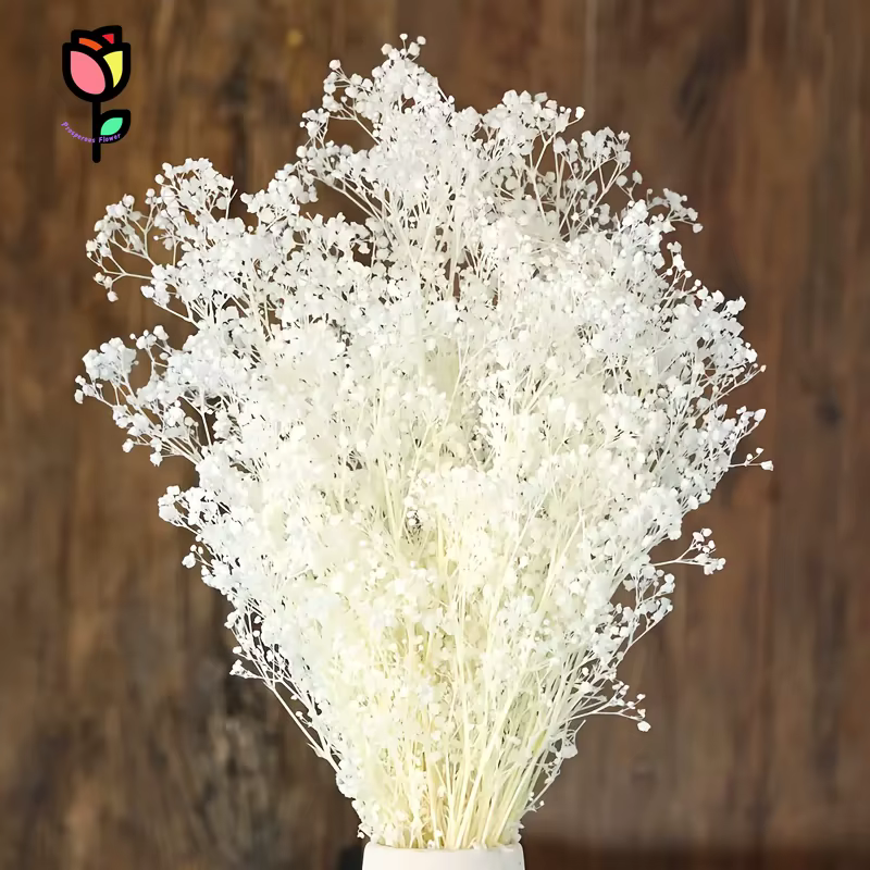1 bouquet de fleurs séchées Gypsophile pour la décoration de mariage
