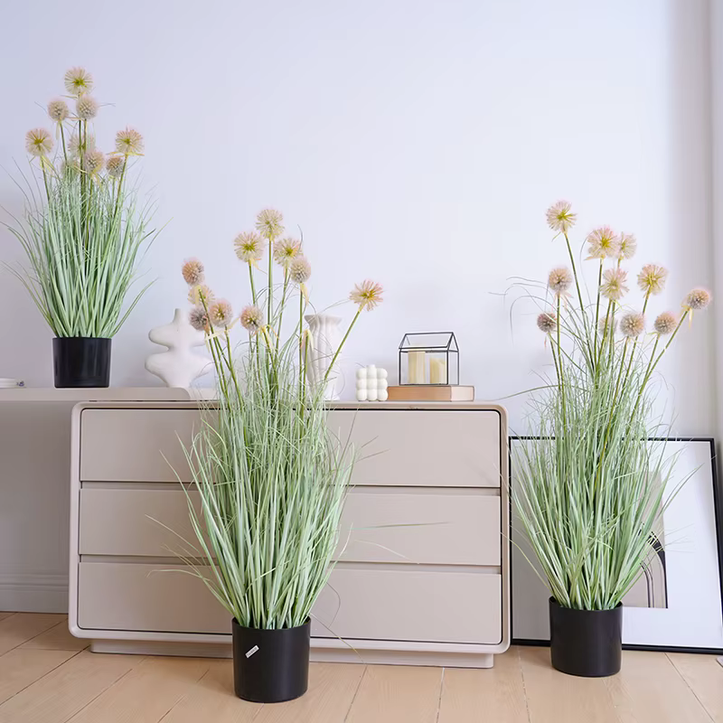 Boule d'oignon rose pour la décoration intérieure de la maison