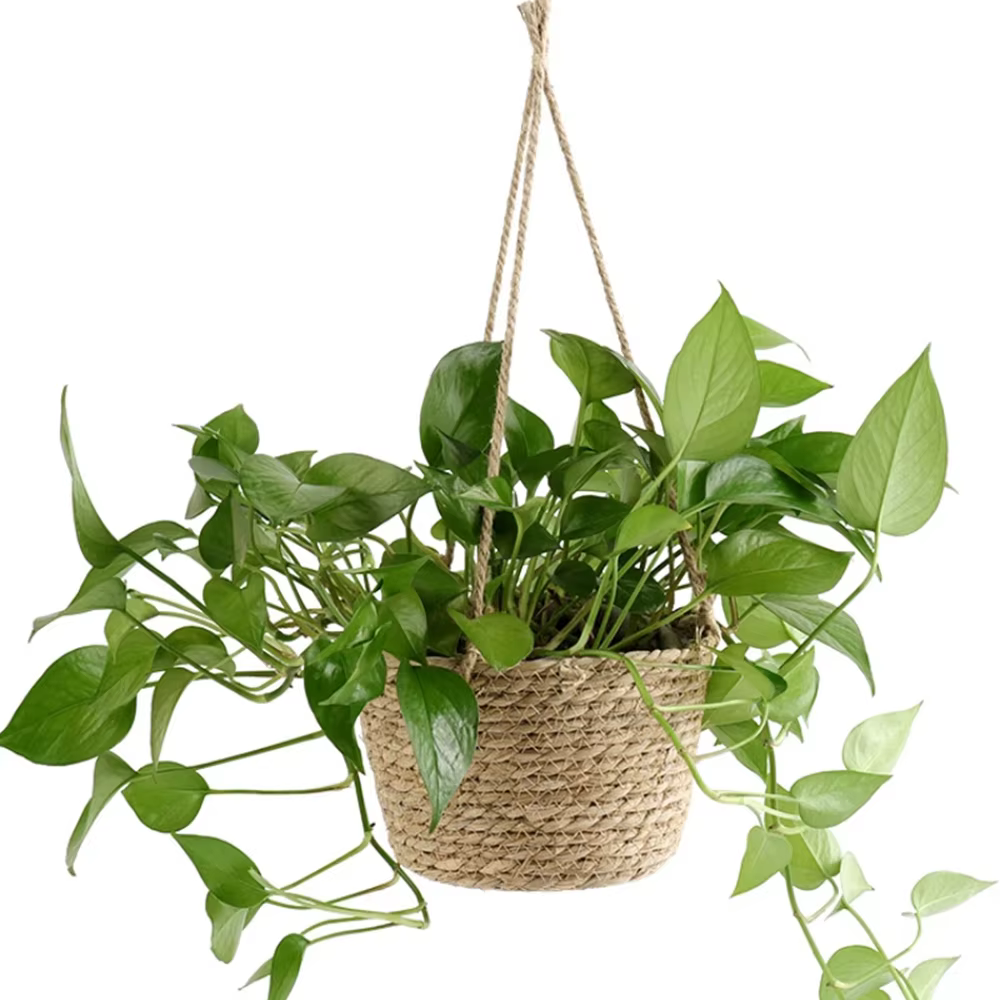 Panier suspendu en paille pour jardin