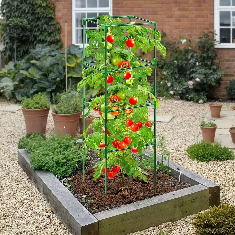 Treillis de plantes grimpantes durable