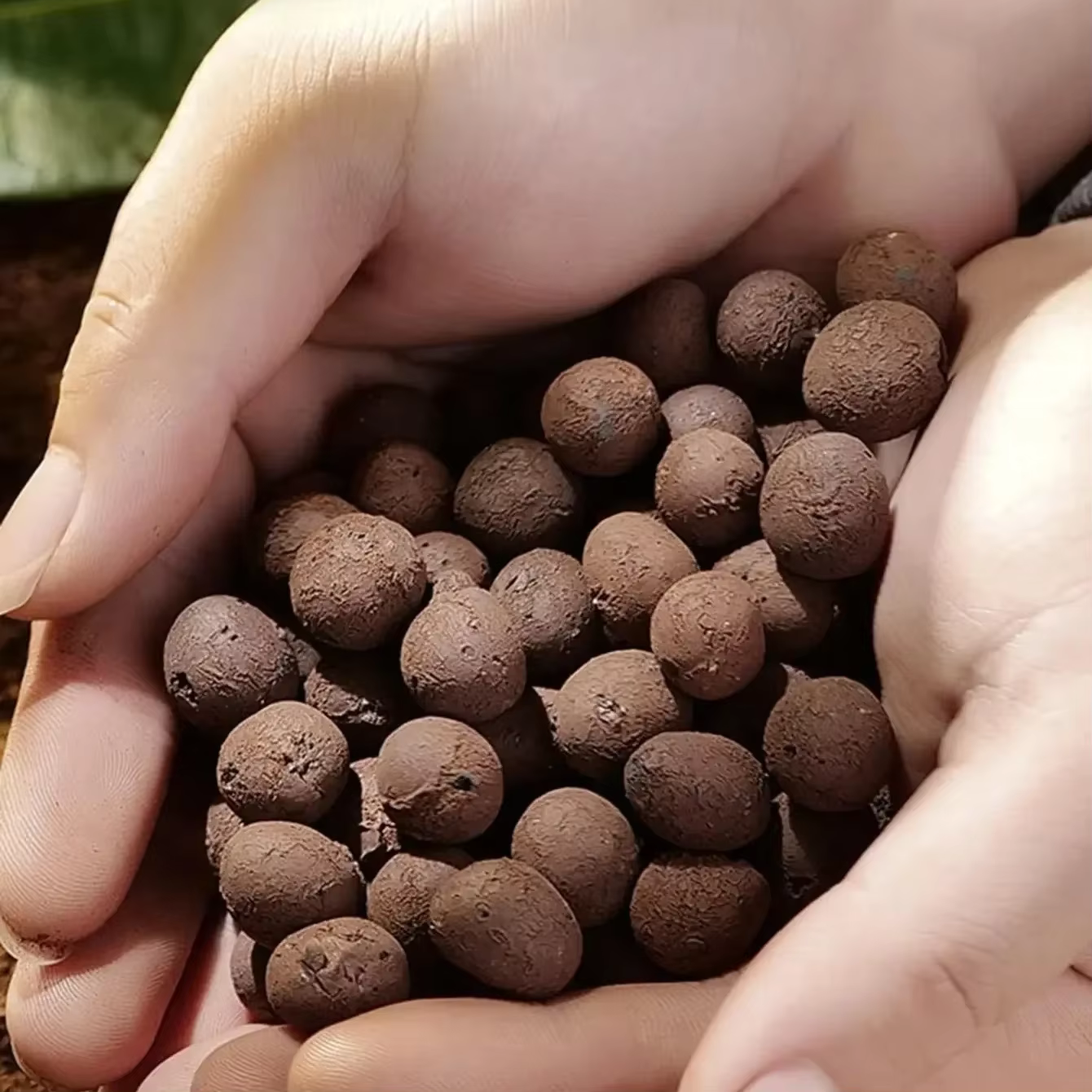 Boules Leca en argile pour plantes