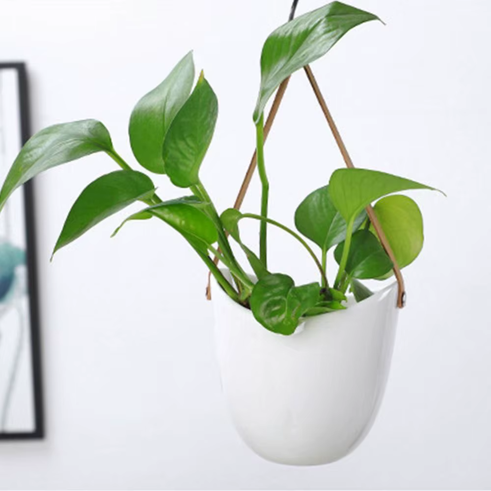 Pot de fleurs mural portable blanc
