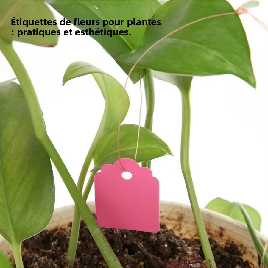 Étiquettes de plantes réutilisables