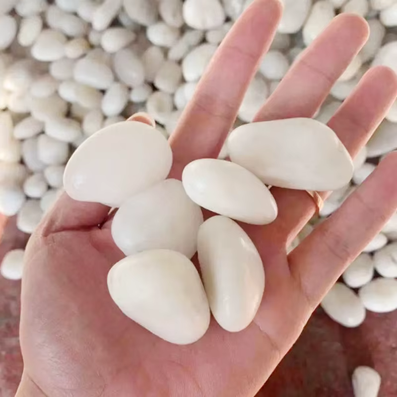 200 ~ 800g galets blancs 2 ~ 3cm conception de paysage et pavage de route pierres de fleurs de pluie hautement polies pierre de décoration de piscine TMZ