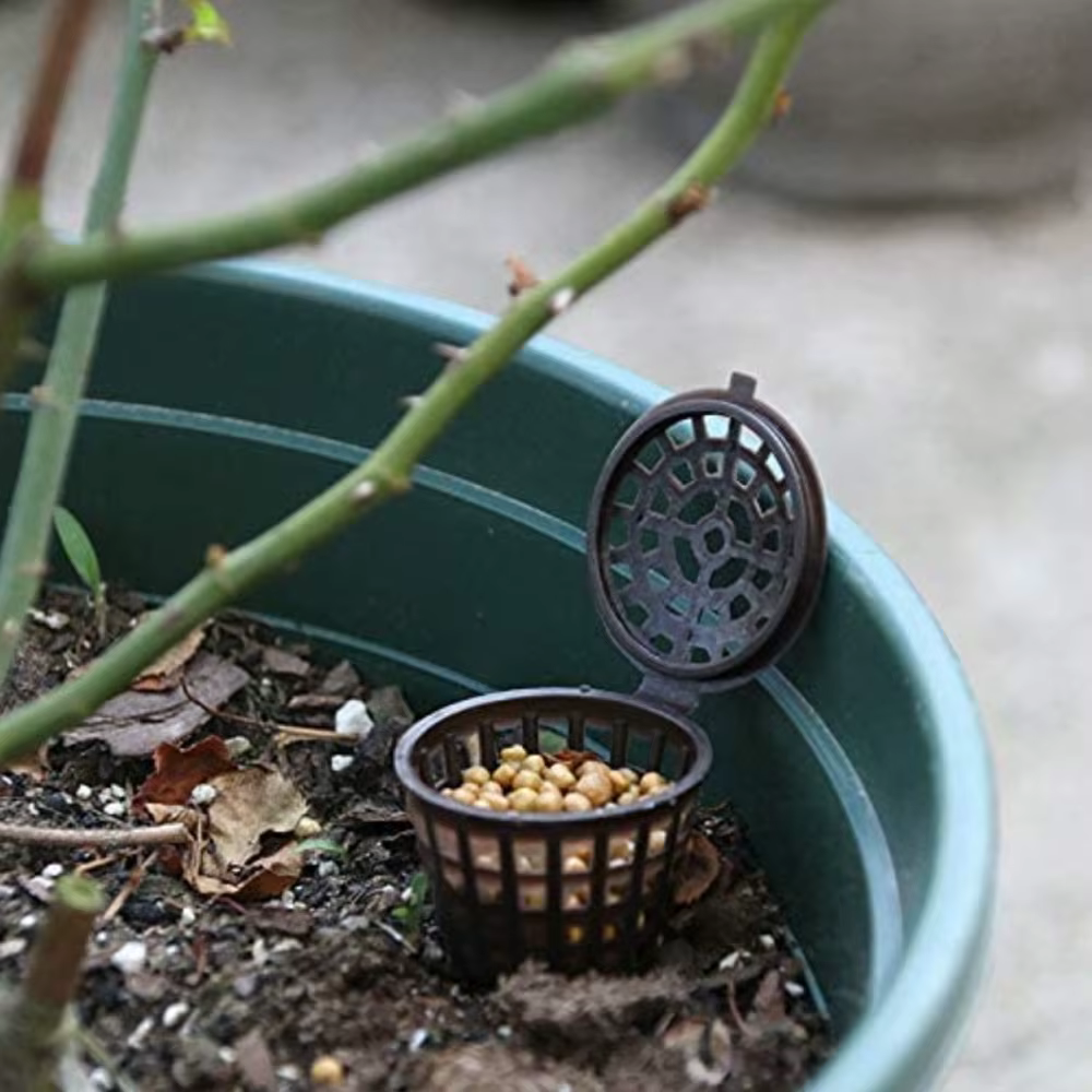 Mir de navigateur de plantes pour pot de fleur
