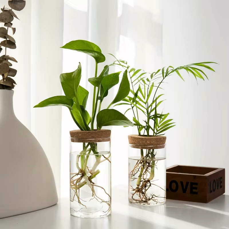 1pc, Vase de jardinière en verre de bureau pour plantes hydroponiques pour la décoration de la maison