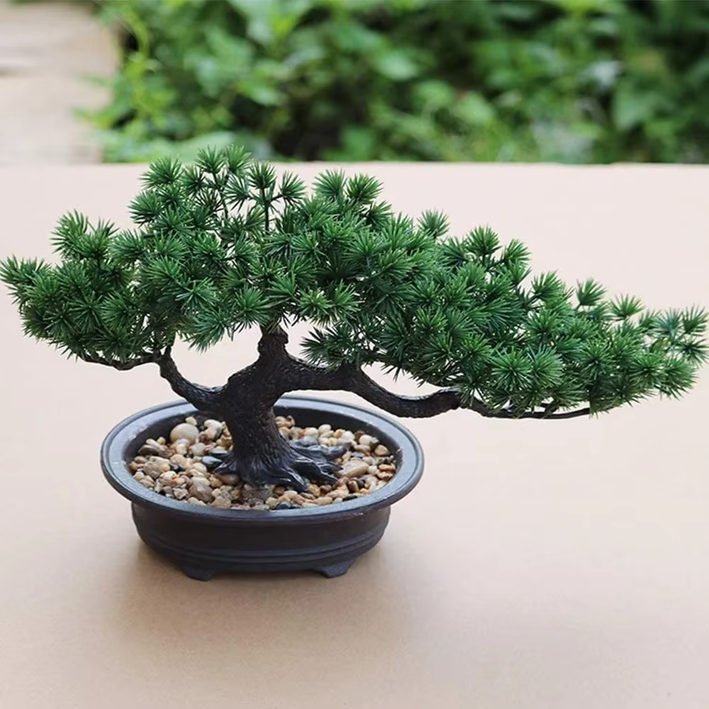Plante Bonsaï Artificielle en Pot