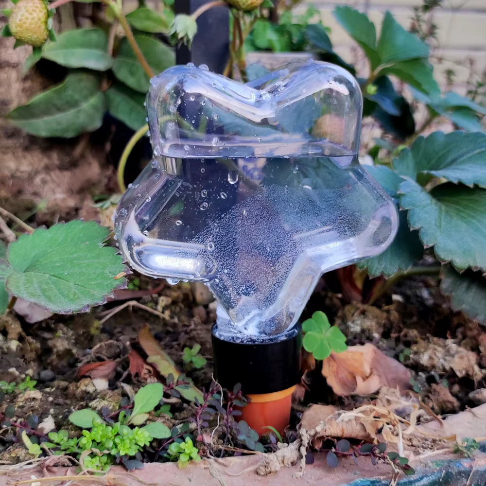 Dispositifs d'arrosage automatique pour plantes