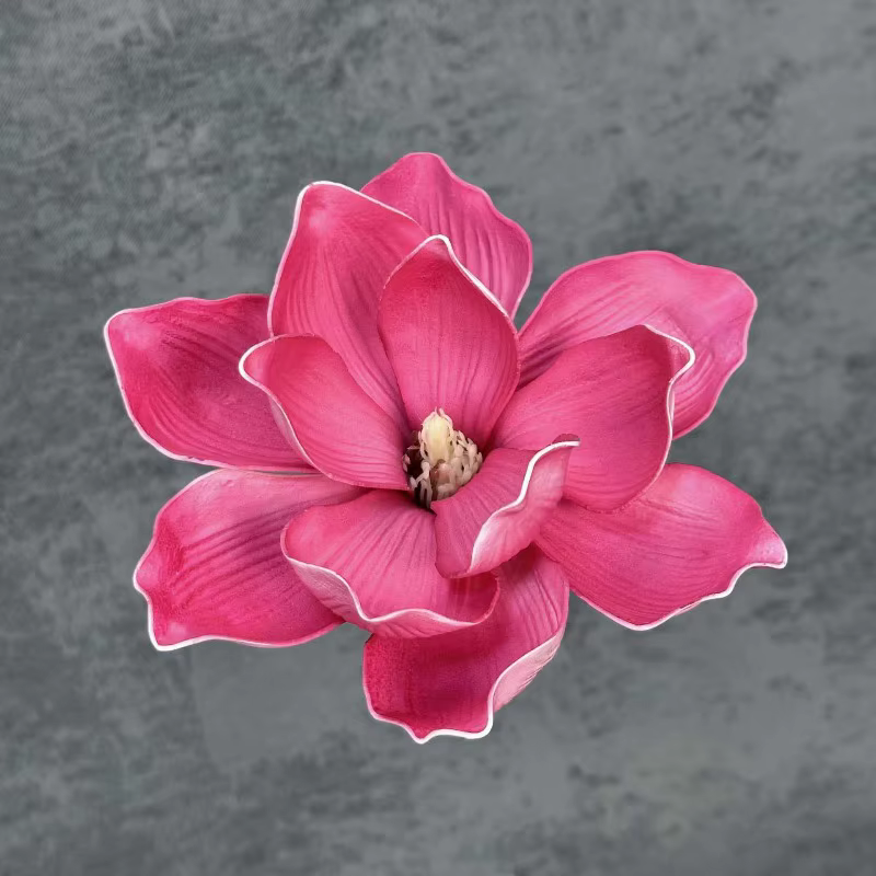 Artificia 20 pièces/lot EVA Magnolia grande fleur tête 13/18CM Dia