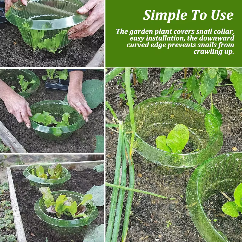 Anneaux de Protection des limaces pour plantes
