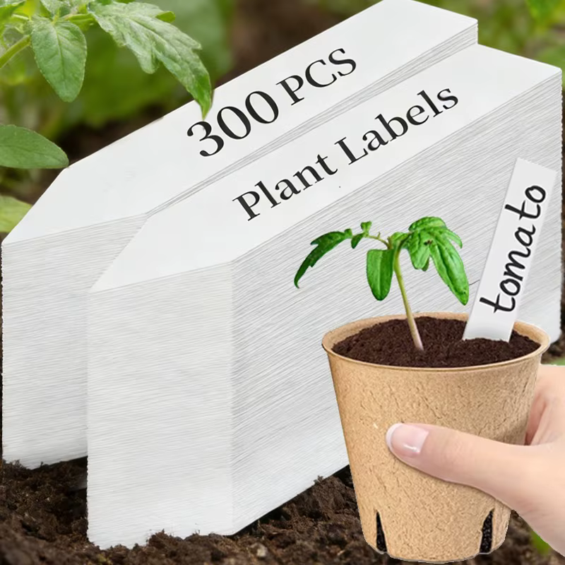 Étiquettes de plantes en plastique 100/300x