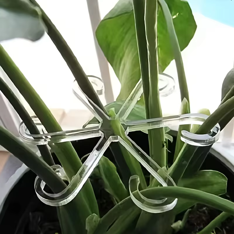 Grand support pour plantes suspendues