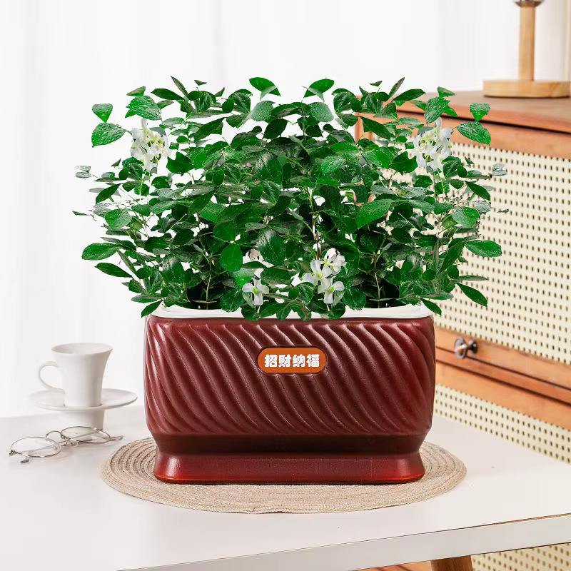 Pot de fleurs auto-arrosant en plastique