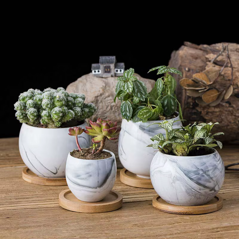 Plateau en bois maison succulente Pot Base circulaire ovale rectangulaire Pot