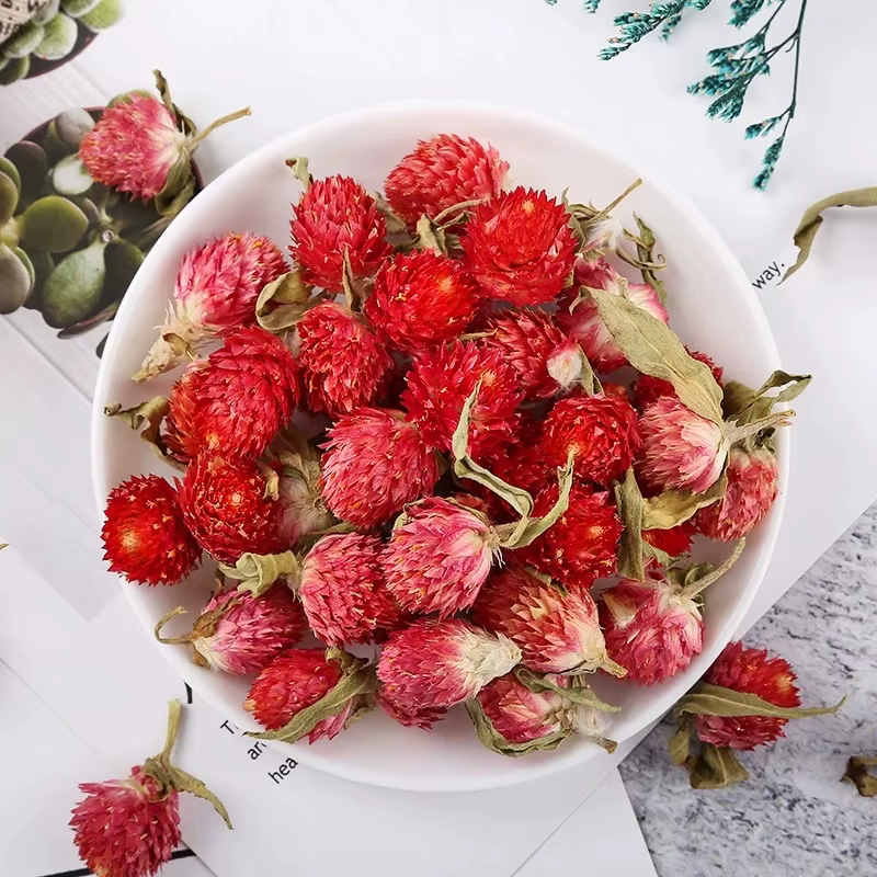 Pétales de Globe Amarante Naturels Séchés de Haute Qualité pour Décoration de Mariage et Matériaux de Composition Florale