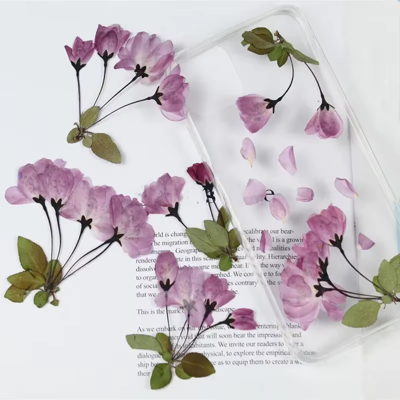 Fleur de bégonie naturelle PMurcia avec tige
