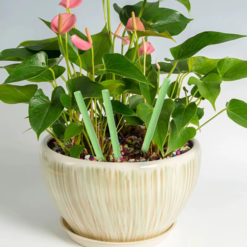 Barres nutritives pour plantes 100/18x