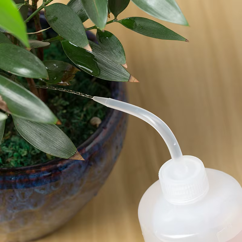 Bouilloire versante à bec d'eau 150/250 / 500mL