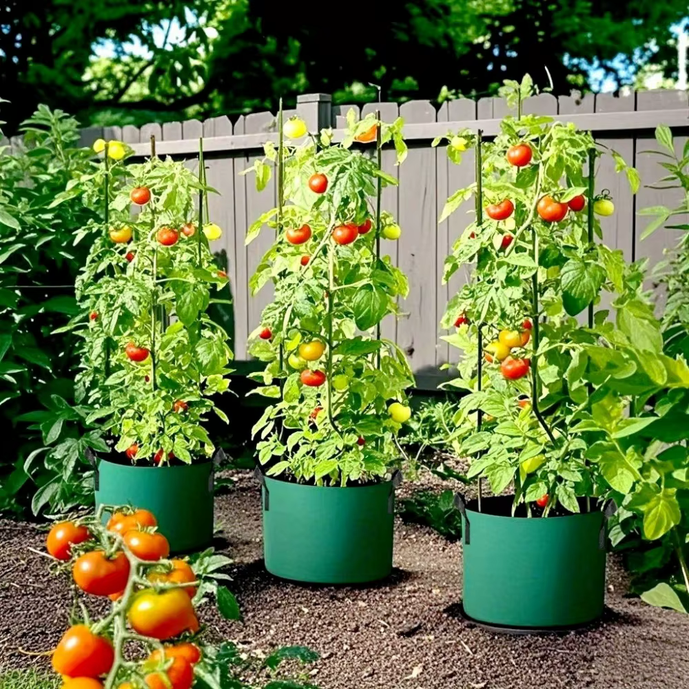 Sacs de culture en feutre vert 3/5/7 gallons pour plantes