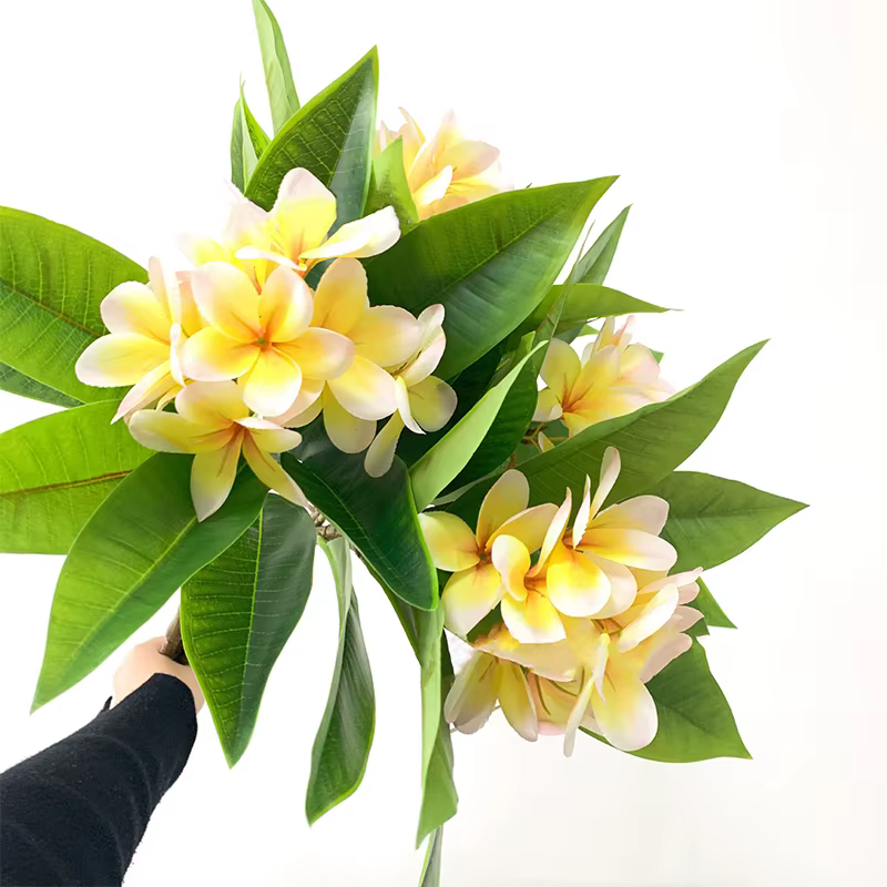 Impression 3D Main Sensation Frangipanier Fleurs Branche