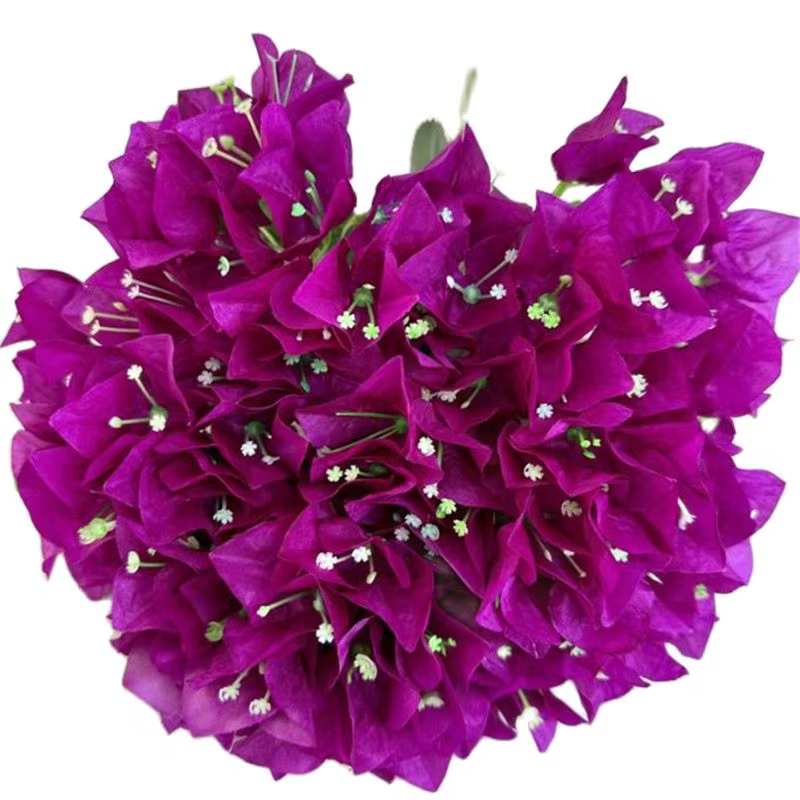 Bougainvillea artificielle Bouqut fleur 5 fourchettes