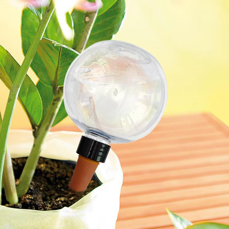 Globes d'arrosage automatique 500ml