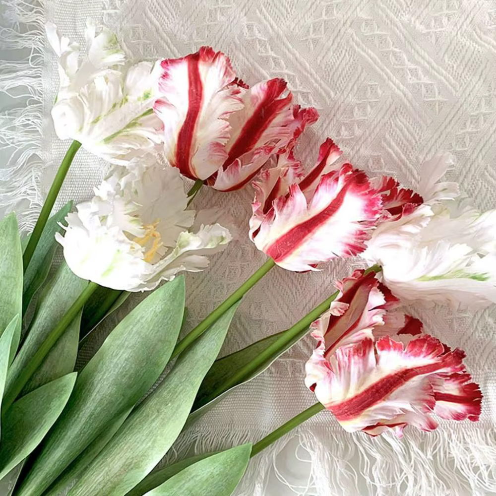 Fleur pour la maison, les fêtes