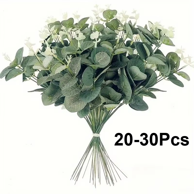 Tiges de feuilles d'eucalyptus