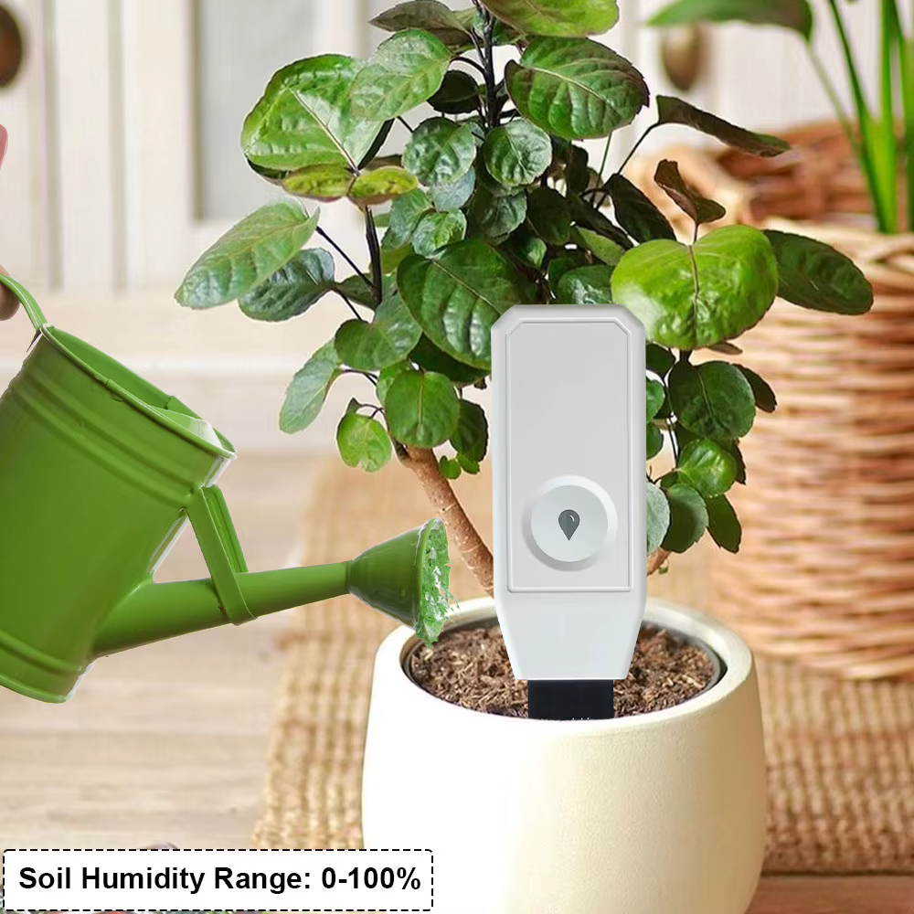 Testeur d'humidité du sol Tuya Zigbee