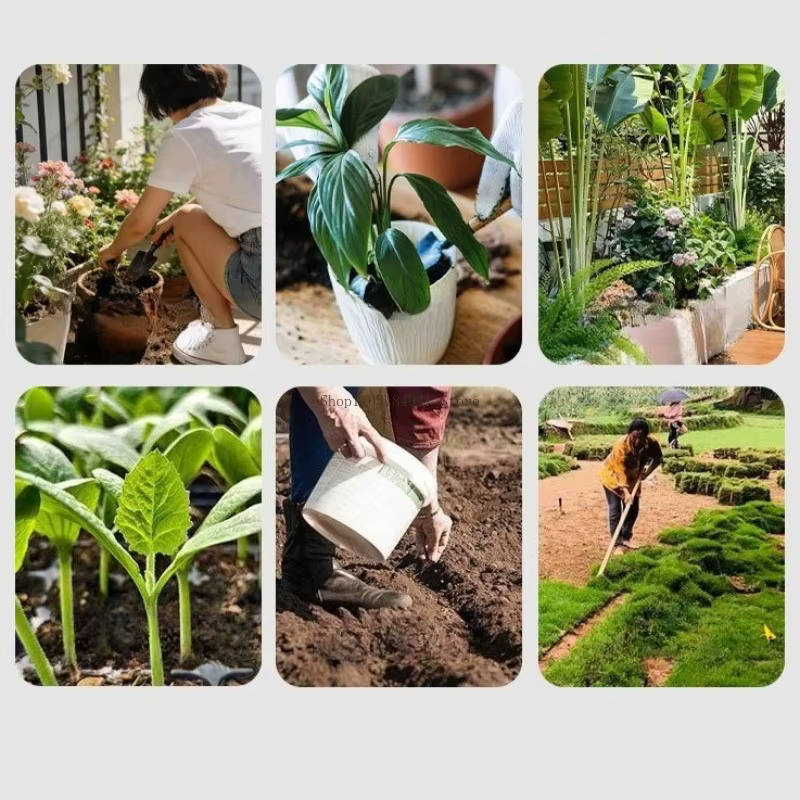 Agent de Fermentation Bactérienne pour Compost de Déchets Alimentaires EM 500G – Idéal pour Améliorer le Sol des Légumes