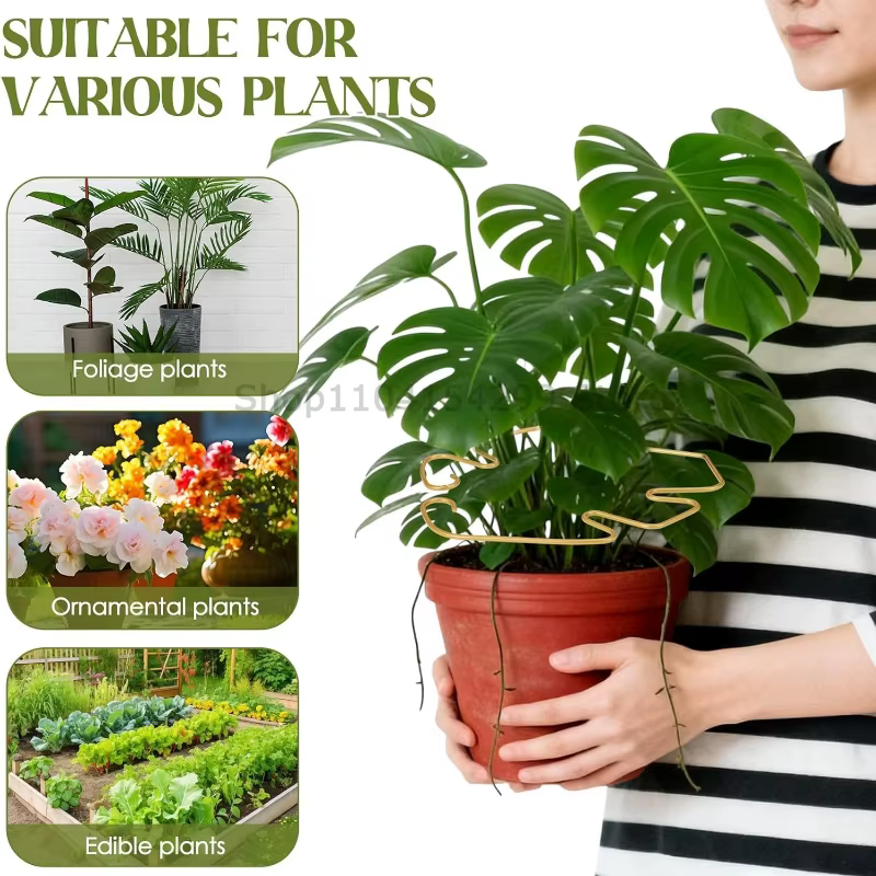 Supports de plantes réglables en métal pour tutorer les plantes