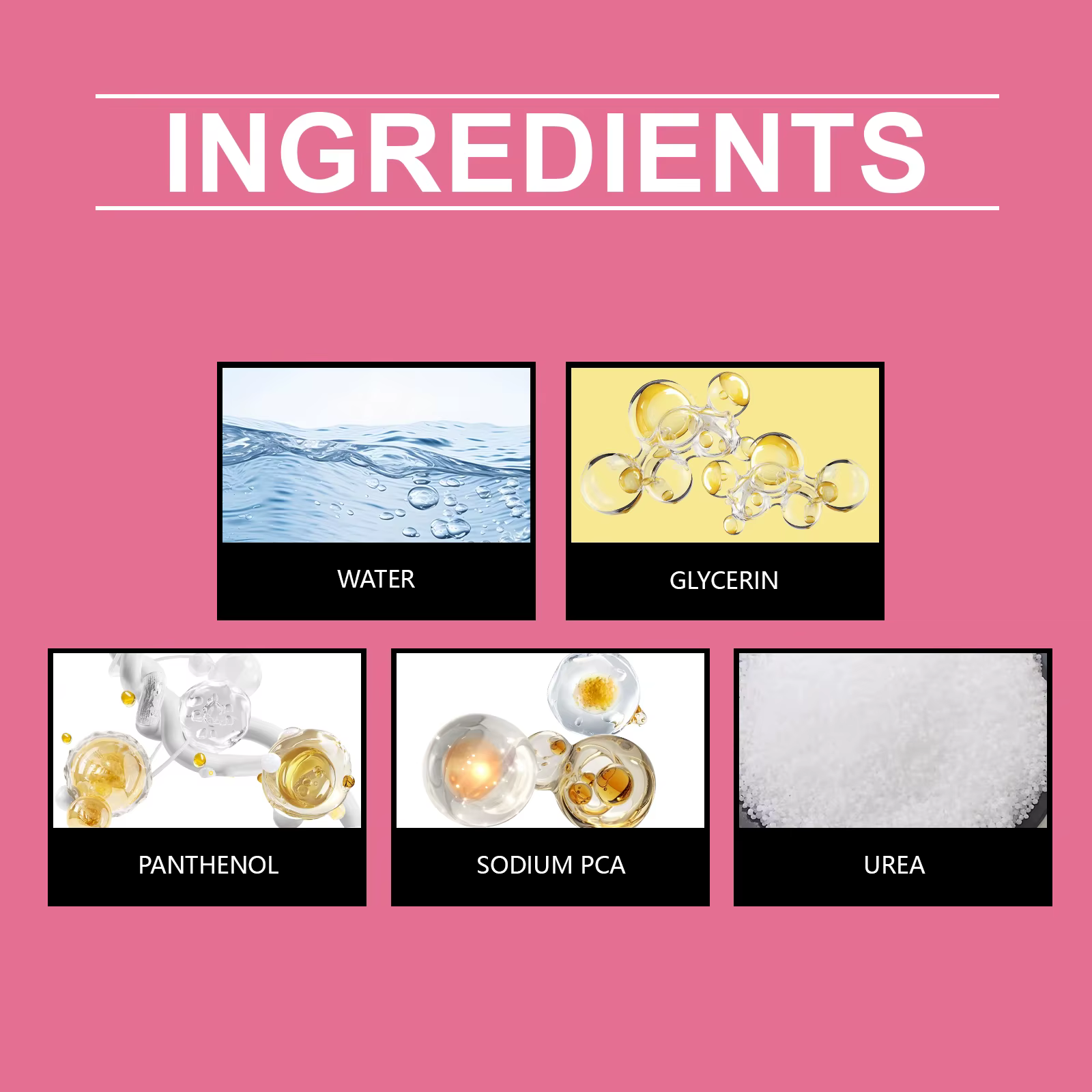 Solution nutritive pour fleurs
