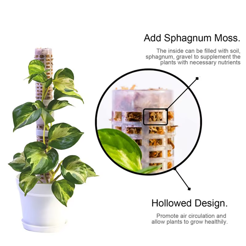 Colonne de support pour plantes grimpantes en mousse de sphagnum