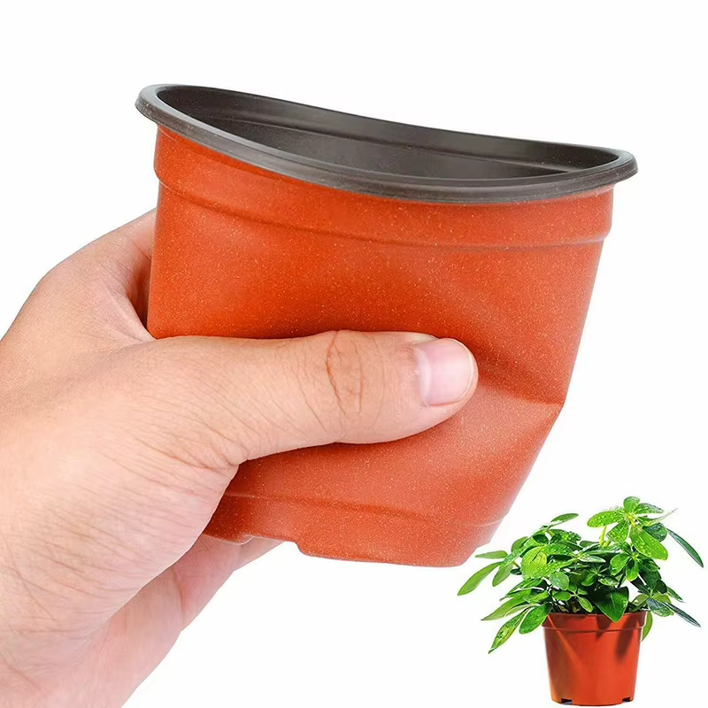 Pot de fleurs spécial pour semis de plantes succulentes
