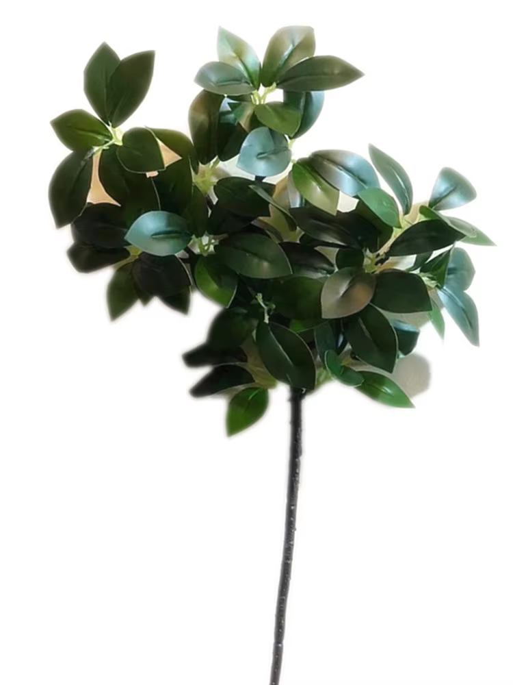 5 pièces artificielle Peperomia Sterm Tetraphylla branche d'arbre plante verte subtropicale